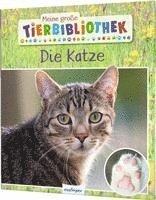 bokomslag Meine große Tierbibliothek: Die Katze
