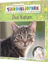 Stéphanie Ledu-Frattini - Meine große Tierbibliothek: Die Katze, Inbunden
