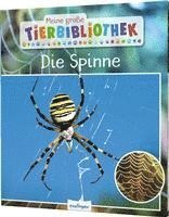 Jens Poschadel - Meine große Tierbibliothek: Die Spinne, Inbunden