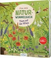 bokomslag Mein erstes Natur-Wimmelbuch: Tiere auf der Wiese