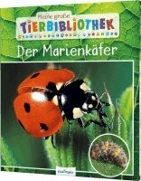 Valérie Tracqui - Meine große Tierbibliothek: Der Marienkäfer, Inbunden