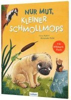 bokomslag Nur Mut, kleiner Schmollmops