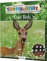 bokomslag Meine große Tierbibliothek: Das Reh