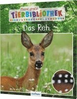 bokomslag Meine große Tierbibliothek: Das Reh