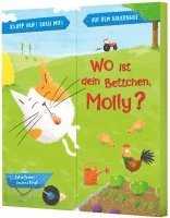 bokomslag Klapp auf! Such mit!: Wo ist dein Bettchen, Molly?