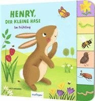 bokomslag Mein erstes Jahreszeitenbuch: Henry, der kleine Hase