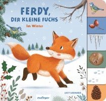 Anja Kiel - Mein erstes Jahreszeitenbuch: Ferdy, der kleine Fuchs, Kartonnage