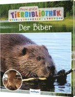 bokomslag Meine große Tierbibliothek: Der Biber