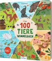 bokomslag Mein 100 Tiere-Wimmelbuch