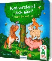 bokomslag Was versteckt sich hier?