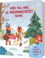 Madlen Ottenschläger - Mein Klapp-Sound-Buch: Hör mal her, es weihnachtet sehr!, Kartonnage