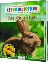 Axel Gutjahr - Meine große Tierbibliothek: Das Kaninchen, Inbunden