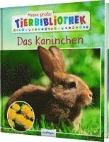 Meine große Tierbibliothek: Das Kaninchen