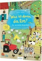 Sibylle Schumann - Was ist denn da los?: Der verrückte Bauernhof, Kartonnage