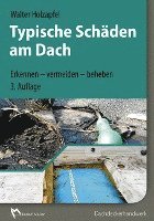 bokomslag Typische Schäden am Dach