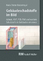 Gebäudeschadstoffe im Bild 1