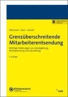 bokomslag Grenzüberschreitende Mitarbeiterentsendung