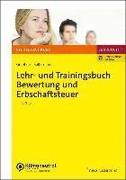 bokomslag Lehr- und Trainingsbuch Bewertung und Erbschaftsteuer