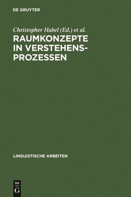 bokomslag Raumkonzepte in Verstehensprozessen