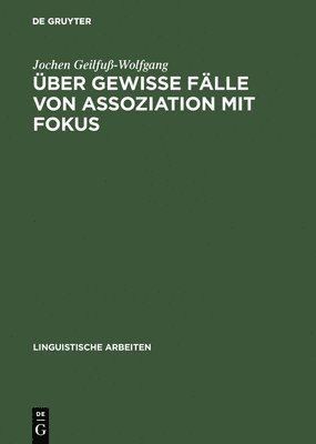 Jochen Geilfuß-Wolfgang - Über gewisse Fälle von Assoziation mit Fokus, Inbunden