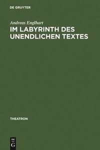 bokomslag Im Labyrinth des unendlichen Textes