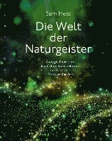 bokomslag Die Welt der Naturgeister