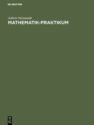 bokomslag Mathematik-Praktikum