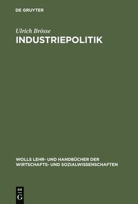 bokomslag Industriepolitik