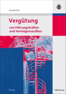bokomslag Vergütung Von Führungskräften Und Vermögensaufbau