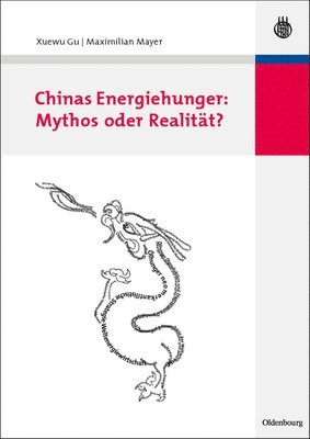 bokomslag Chinas Energiehunger