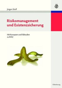 bokomslag Risikomanagement Und Existenzsicherung