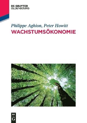 bokomslag Wachstumsökonomie