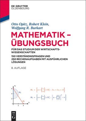 Mathematik - Übungsbuch: Für Das Studium Der Wirtschaftswissenschaften. 150 Verständnisfragen Und 250 Rechenaufgaben Mit Ausführlichen Lösungen