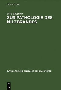 bokomslag Zur Pathologie Des Milzbrandes