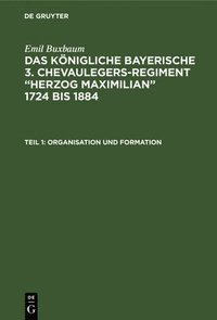 bokomslag Organisation und Formation