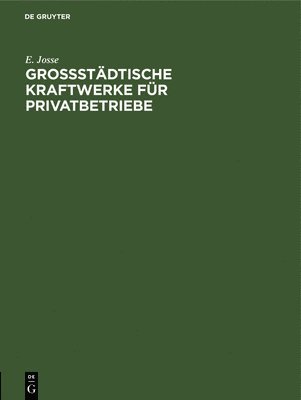 bokomslag Grossstädtische Kraftwerke Für Privatbetriebe