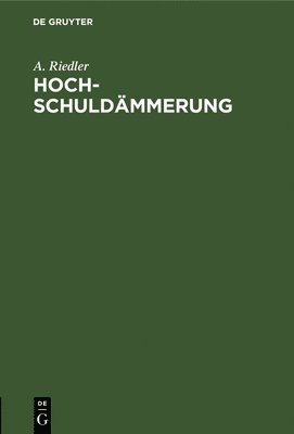 bokomslag Hochschuldmmerung