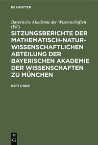 bokomslag Sitzungsberichte Der Mathematisch-Naturwissenschaftlichen Abteilung Der Bayerischen Akademie Der Wissenschaften Zu Mnchen. Heft 1/1929