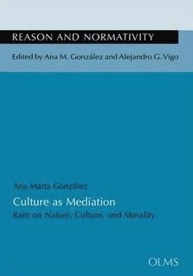 Culture as Mediation 1