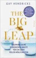 bokomslag The Big Leap