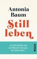 Antonia Baum - Stillleben, Häftad