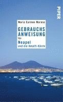 bokomslag Gebrauchsanweisung für Neapel und die Amalfi-Küste