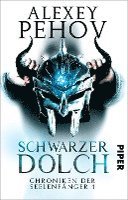 bokomslag Schwarzer Dolch