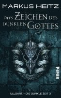bokomslag Die Dunkle Zeit 03. Das Zeichen des Dunklen Gottes