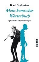 bokomslag Mein komisches Wörterbuch