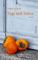 Fabio Andina - Tage mit Felice, Häftad