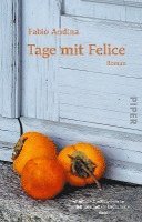 Fabio Andina - Tage mit Felice, Häftad