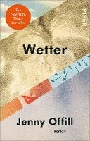 Jenny Offill - Wetter, Häftad