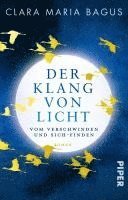 bokomslag Der Klang von Licht