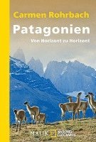 bokomslag Patagonien